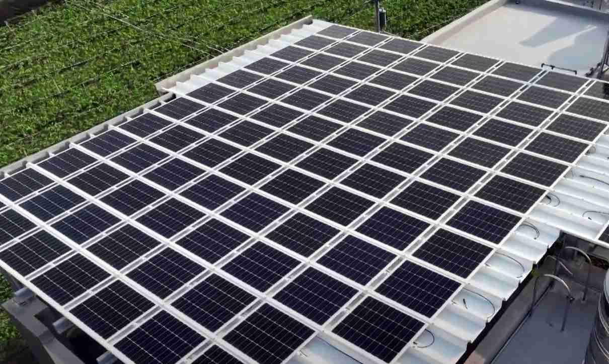 壹号平台SunSteel光电浪板升级双玻结构，，，以提升机械负载强度及气候耐候度，，可广泛运用于多元场域